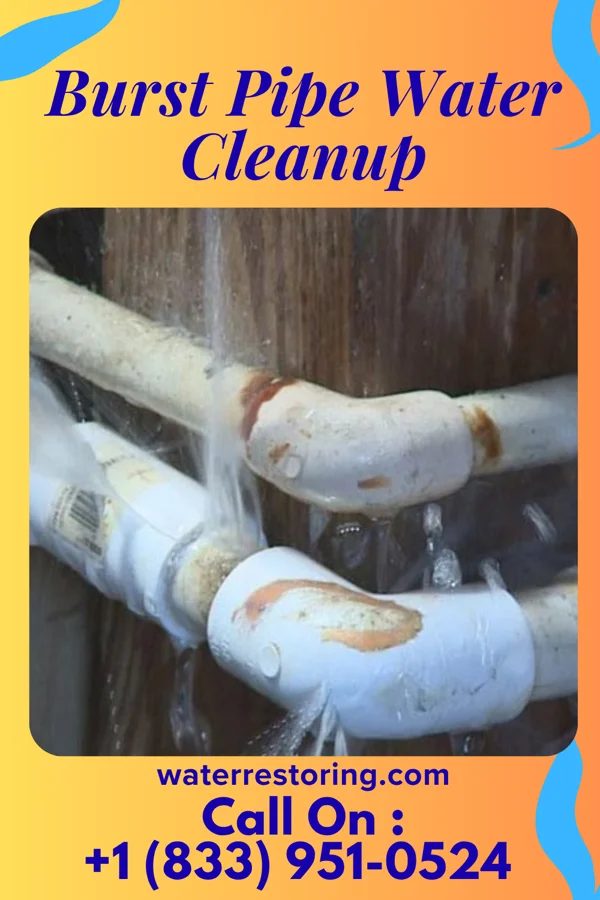 Burst Pipe Water Cleanup in Hamlet, NC