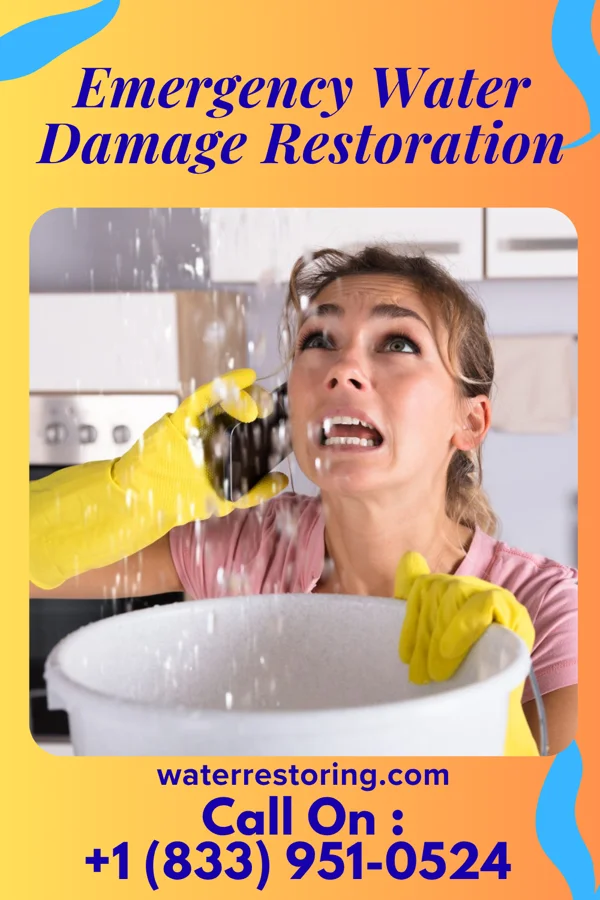 Emergency Water Damage Restoration in Hamlet, NC