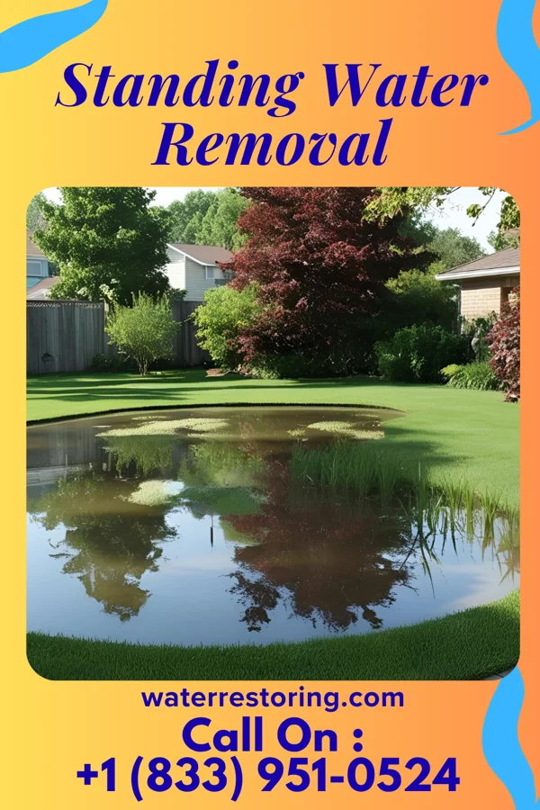 Standing Water Removal in Hamlet, NC